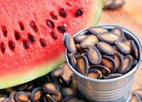 watermelon seed